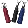 Silver Handle Auto Umbrella
